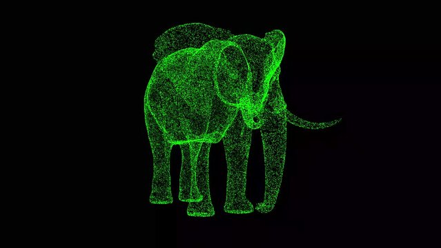 3D Elephant rotates on black bg. Seamless loop animation for animals, nature and educational backgrounds.. For title, text, presentation. Business advertising backdrop. 3D animation 60 FPS