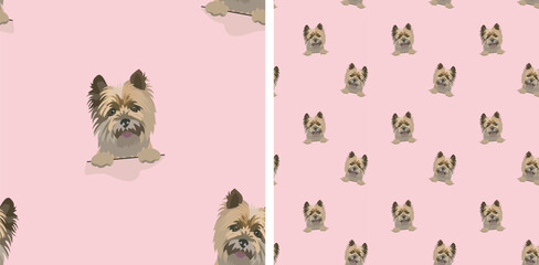 Seamless pattern with dog in a pocket, with paws only. Pink Packaging, textile, decoration, wrapping paper. Trendy hand-drawn funny Cairn Terrier dogs, square pattern. Pattern with dog faces.
