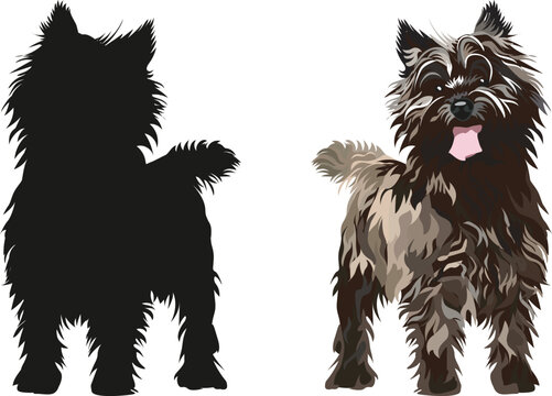 Standing Cairn Terrier dogs. Cute side view pet. Logo design, breed of working dog of medium to large size. Pet character postcard art. Funny dog mascot. Detailed small pet illustration, silhouette