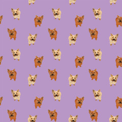 Seamless Cairn Terrier pattern, holiday texture. Violet Packaging, wrapping paper. Trendy hand-drawn funny breed wallpaper. Fun seamless happy cute sitting top view dog square repeat pattern. 