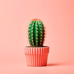 Papier Peint photo autocollant Cactus Cactus in a pink pot on a pink background. Minimalism.
