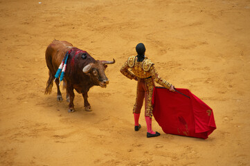 Bullfighter (Matador) with Bull in Arena