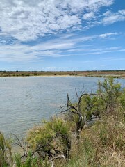 Etangs salants sur l'Île de Ré