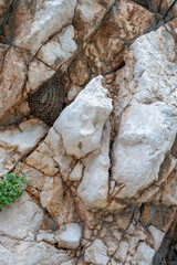 beehive in the rocks on krk island.