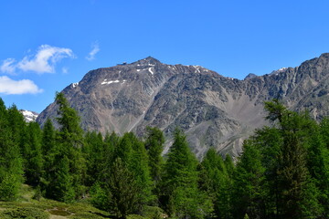 Fototapeta na wymiar Schöne Landschaft mit Bergen im Schnalstal in Südtirol 