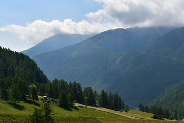 Fototapeta na wymiar Schöne Landschaft im Schnalstal in Südtirol 