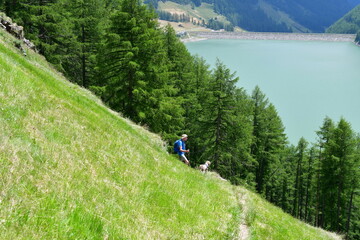 Mann und sein Lagotto Romagnolo Hund wandern am Vernagter Stausee im Schnalstal in Südtirol 