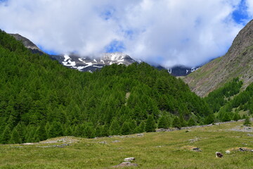 Fototapeta na wymiar Schöne Landschaft mit Bergen und Wolken im Pfossental in Südtirol 