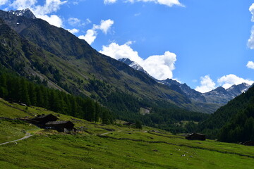 Naklejka premium Schöne Landschaft mit Bergen im Pfossental in Südtirol 