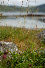 vertical view of sea bay lake surrounded by mountains sunny day