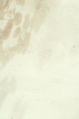 Tree shadows on beige concrete rough textured background. Dark silhouette of leaves in sunlight. Nature concept, copy space