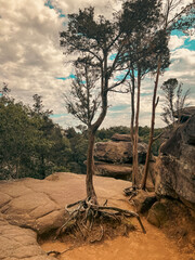 Breathtaking views standing at the top of the natural sandstone rock formations at Garden of the Gods, located within Shawnee National Forest. Tall, almost bare trees grow out from the rocks.