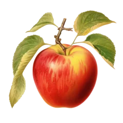 Fotobehang Red apple with leaf, PNG. Generative AI  © uka_uso