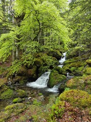  cascade et rivi&egrave;re dans les Hautes Pyr&eacute;n&eacute;es, Bagn&egrave;res de Bigorre
