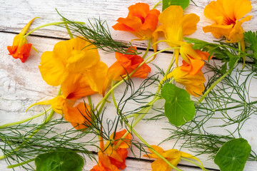 Flowers and leaves of edible nasturtium on white wooden background