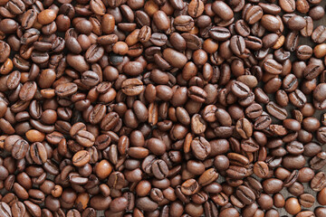 Top view of background representing halves of dark brown coffee beans. Roasted coffee beans, copy space