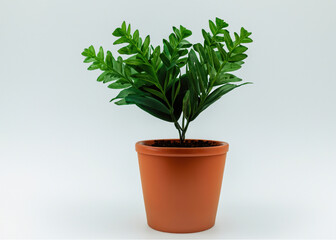 Freshness in Simplicity: Vibrant Leafy Plant in Pot on White Background | Nature's Serene Beauty