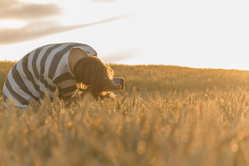 A young man in a striped T-shirt shoots a sunset in a wheat field on a phone that is mounted on a tripod.