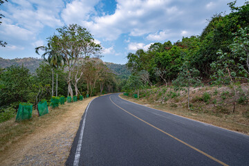 Fototapeta na wymiar A road in the tropical forest