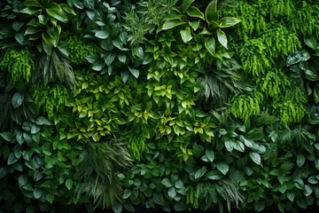 Fototapeten Green wall vertical garden friendly green nature Generative AI © NBXt