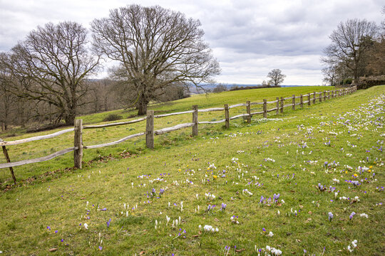Wooden fence and rolling English countryside