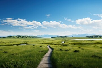 Mongolian grassland with a path leading to the lake
