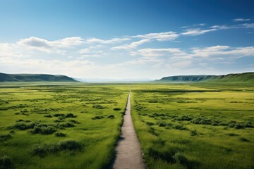 Path in the steppe. Beautiful summer landscape. Nature composition.