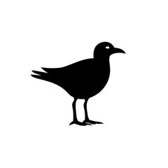Fototapeta premium vector doodle animal for bird