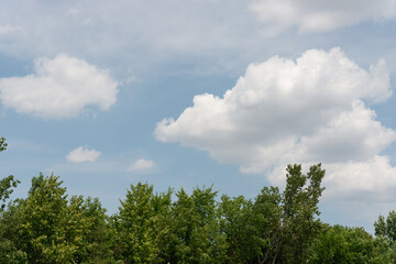 cloud with a curl over the trees