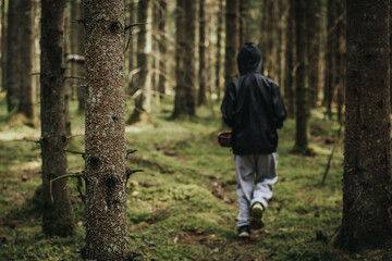 Fototapeta premium A boy with a wicker basket in his mouth. A child picks mushrooms alone in the forest. Soft selective focus