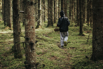Fototapeta premium A boy with a wicker basket in his mouth. A child picks mushrooms alone in the forest. Soft selective focus