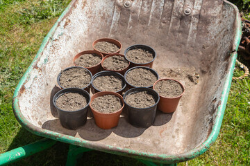 Flowerpots with potting soil in a wheelbarrow