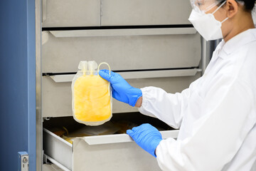 Doctor hand wearing blue gloves holding fresh frozen plasma bag in storage blood refrigerator at...