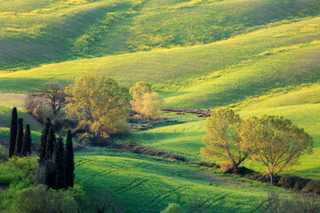 Obraz premium Panorama in Val d'Orcia a Siena. Set drl film Il Gladiatore. Alba con Paesaggio della campagna in Toscana