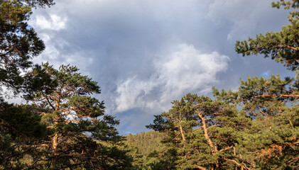 storm clouds over the mountain in burabay park