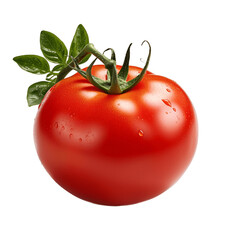 Tomato on a branch with a leaves. No background