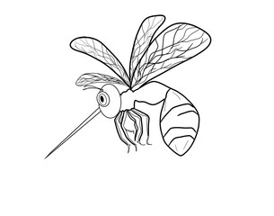 a mosquito on a white background
