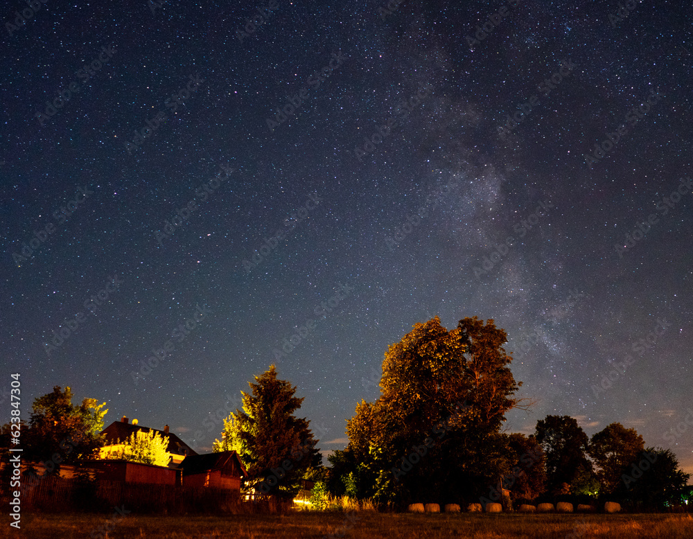 Canvas Prints trees in the night with milky way