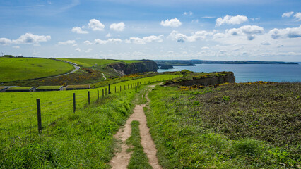 Path along the Cliff