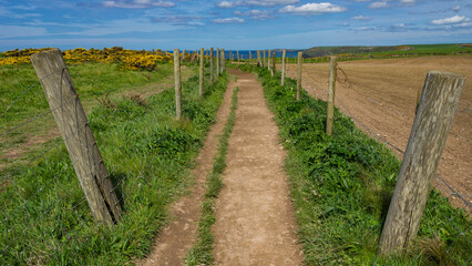 Path through the Fences