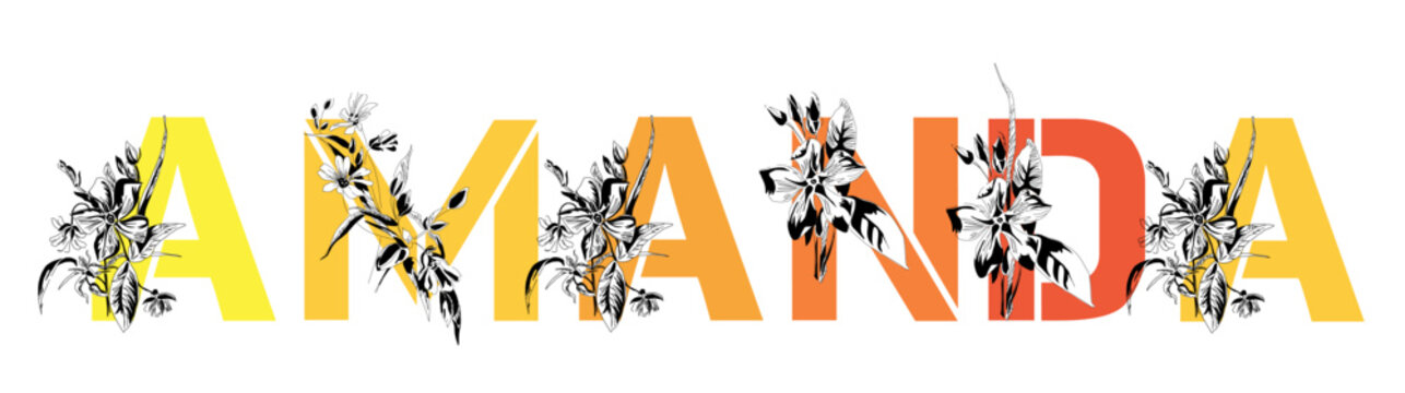 Woman's name Amanda. Font composition named AMANDA. Decorative floral font. Typography in the style of art nouveau, modern, vintage.