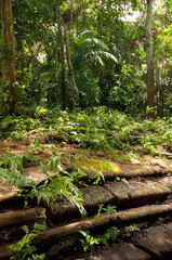 Old altar steps of a church in the historic Spanish trail Camino de Cruces in Panama, Central America - stock photo