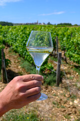 Fototapeta premium Glass of white wine from vineyards of Pouilly-Fume appelation, near Pouilly-sur-Loire, Burgundy, France