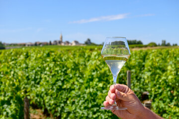 Glass of white wine from vineyards of Pouilly-Fume appelation, near Pouilly-sur-Loire, Burgundy,...