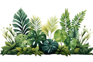 Fototapeta premium Tropical leaves banner isolated on transparent background, PNG. Fresh tropic plant leaf variety. 