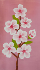 Naklejka na ściany i meble Branch with white-pink spring flowers on pink