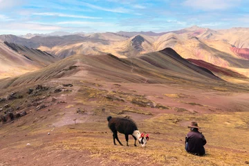 Crédence de cuisine en verre imprimé Vinicunca Alpaca at Palccoyo rainbow mountains in Peru