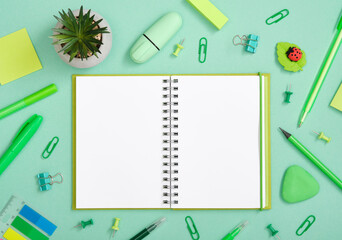 Open notebook with green pen, pencil and marker on pastel green background. Eraser in the form of ladybug. Flatly.