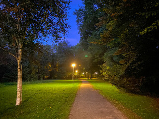 Fototapeta premium alley in the park