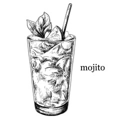 Mojito cocktail with ice and lime vintage vector sketch illustration. © Ann Lou